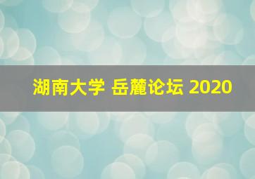 湖南大学 岳麓论坛 2020